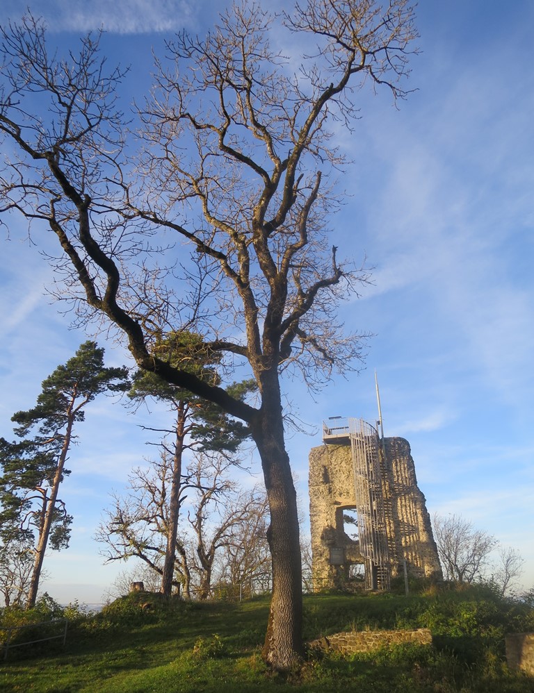 2014-11-02_3381_Hohenhewen_Gipfel_Baum+Turm_khu