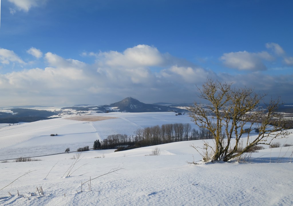 2015-02-04_3949_Sickerberg_Busch+Hohenhewen_khu