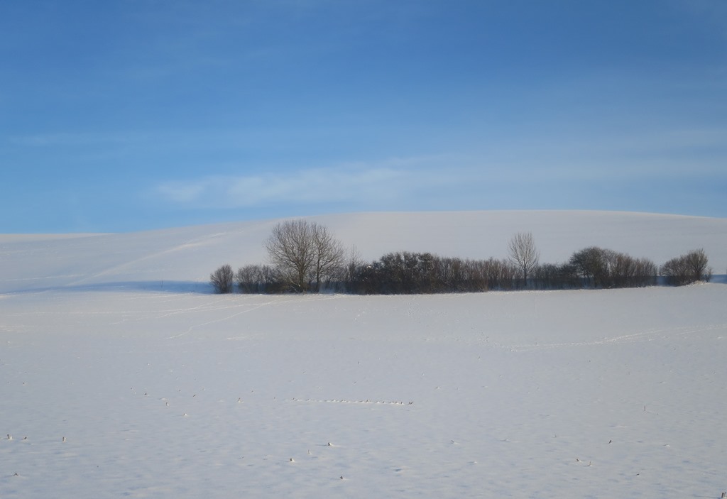 2015-02-04_3958_Sickerberg_Buesche_khu