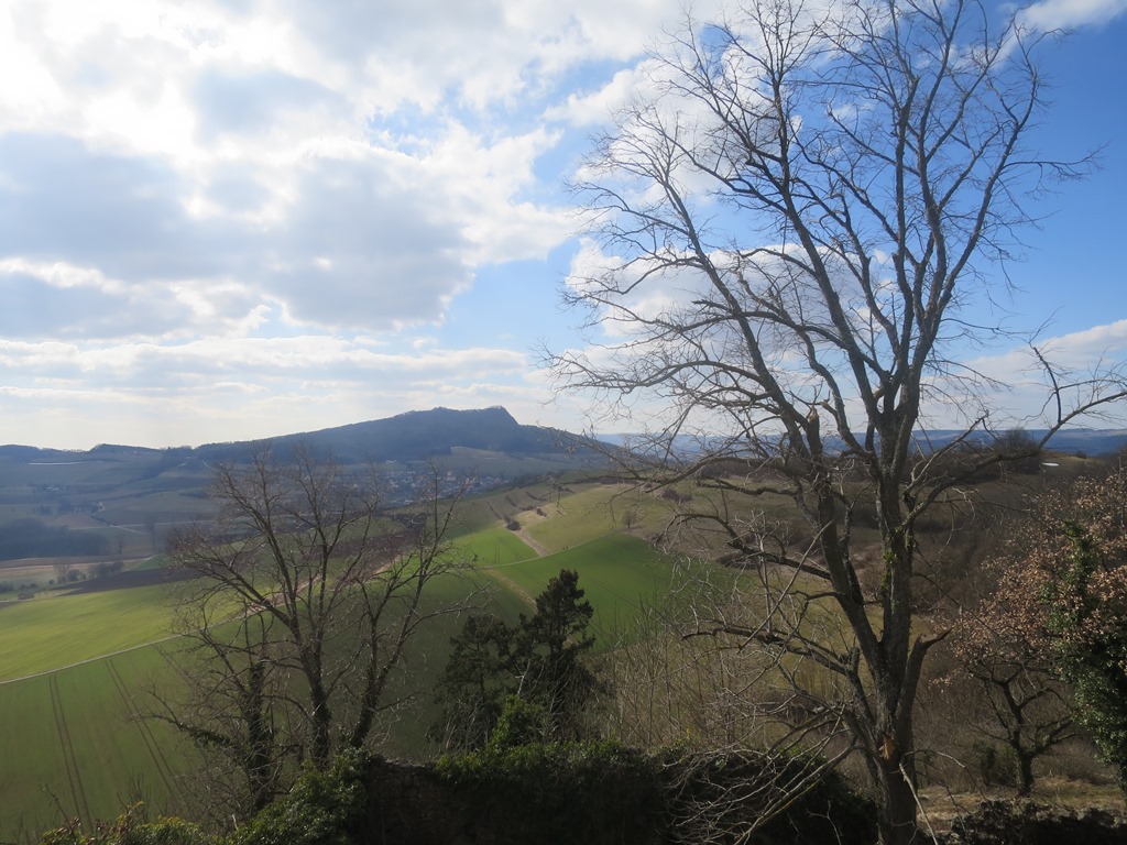 2015-03-12_4107_Maegdeberg_Baeume+Hohenstoffeln_khu