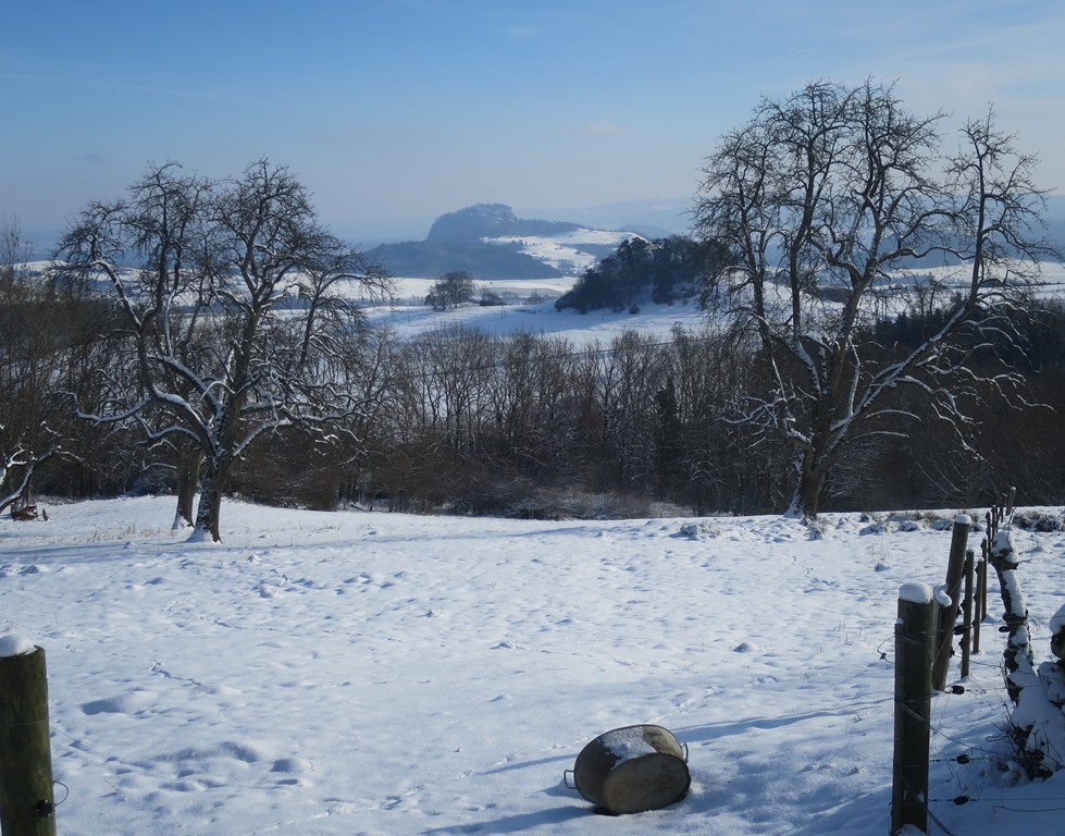 2016-01-18_5616_Hohenstoffeln_Sennhof_Baeume+Schloesslebuck+Hohentwiel_khu