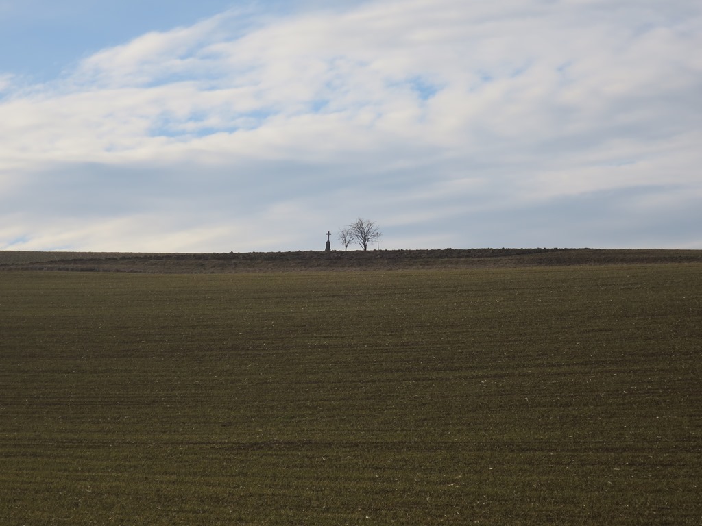 2017-02-19_8371_alterPostweg_Baeumchen+Kreuz_khu