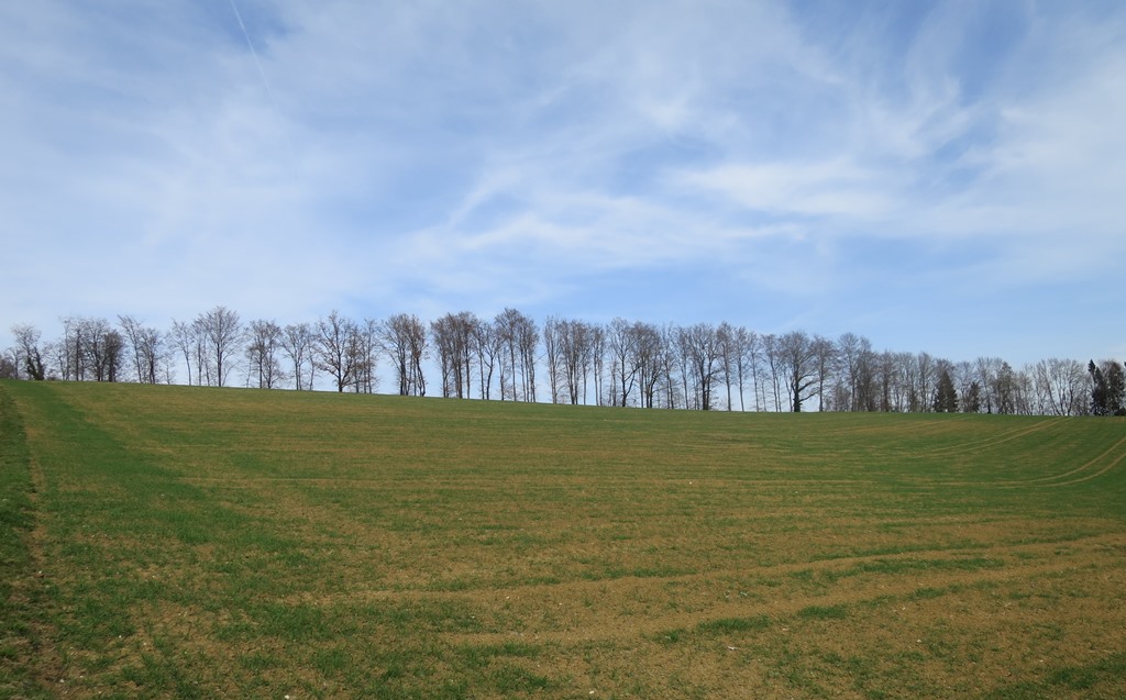 2018-04-03_0066_bei_BinningerSee_Baeume_khu