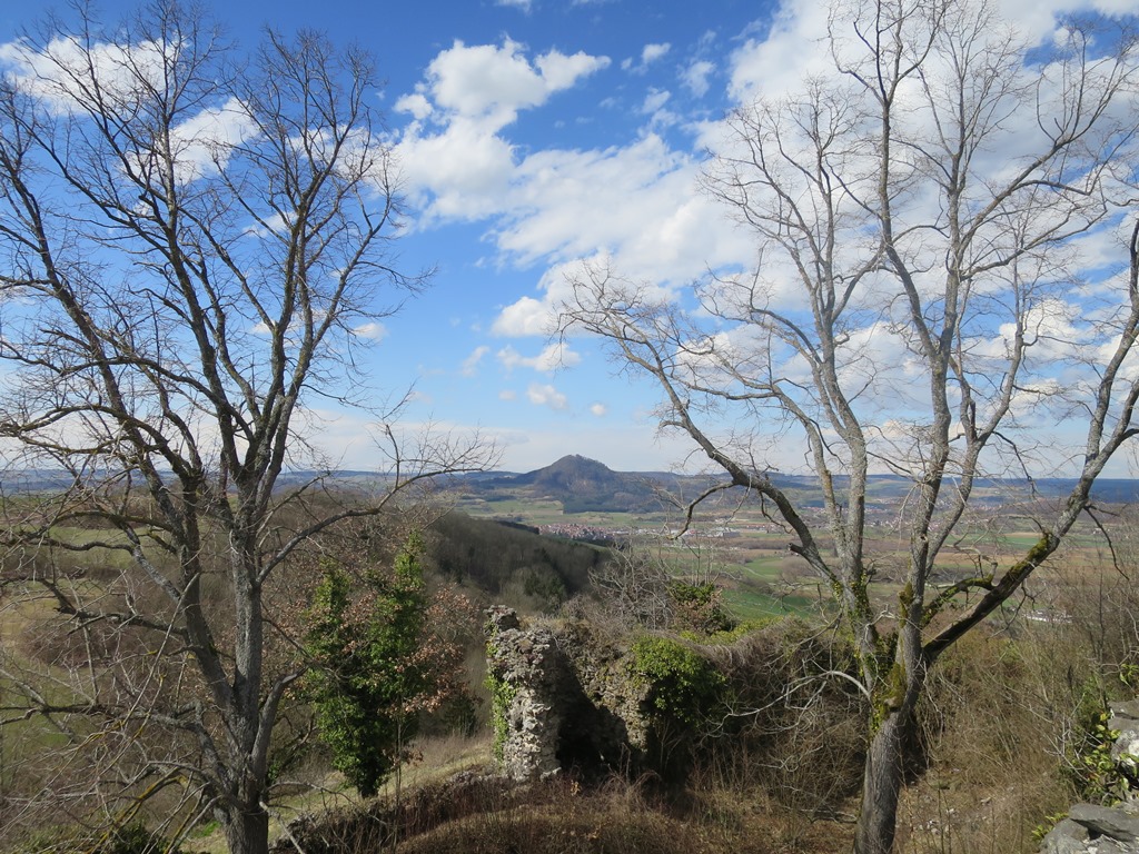 2018-04-04_0092_Maegdeberg_Baeume+Hohenhewen_khu