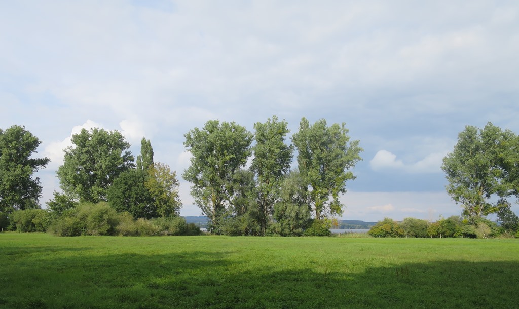 2018-09-03_1082_bei_Gundholzen_Baeume_khu