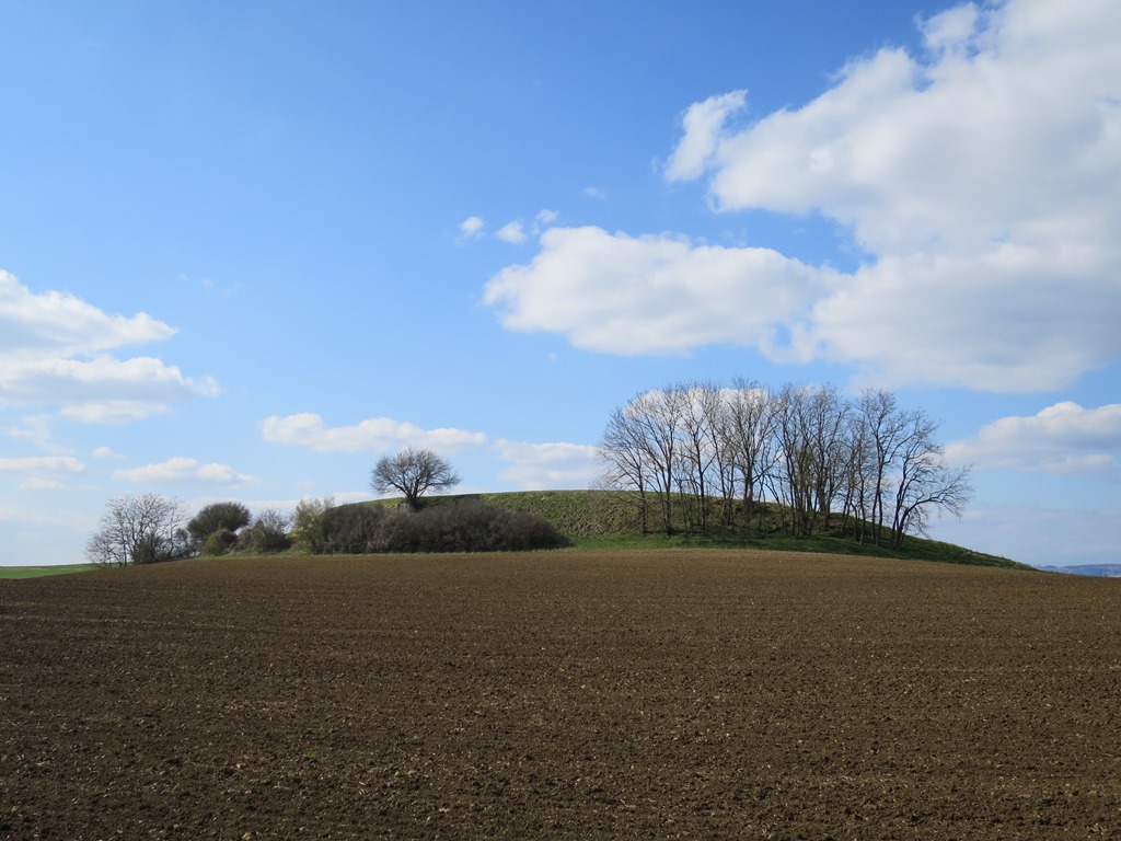 2020-04-03_5199_am_Hohenkraehen_Baeume_khu