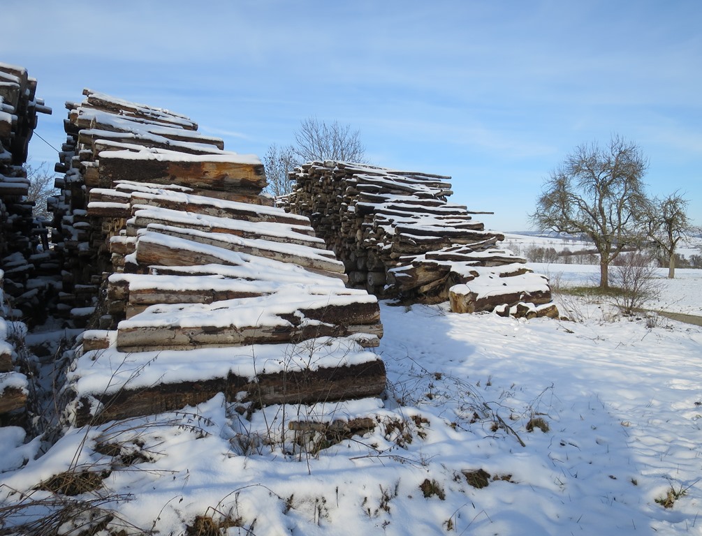 2021-01-09_6019_Tengen_Baumstaemme_khu