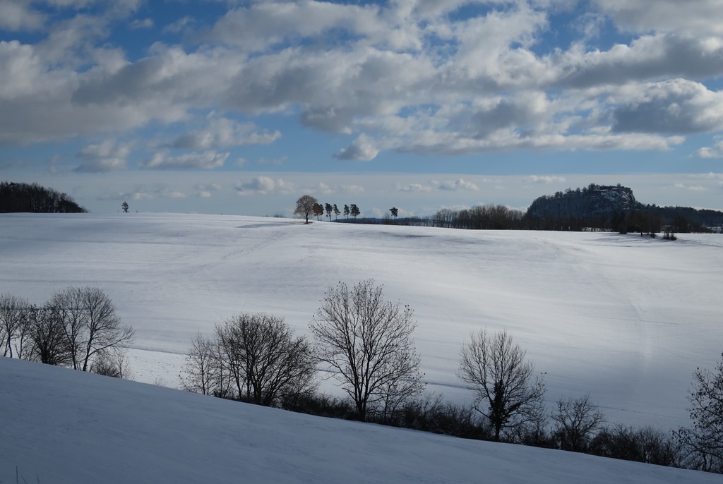 2021-01-24_6190_bei_Duchtlingen_Baum_khu