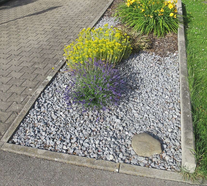 2019-06-25_3364_Schotterwahn_khu