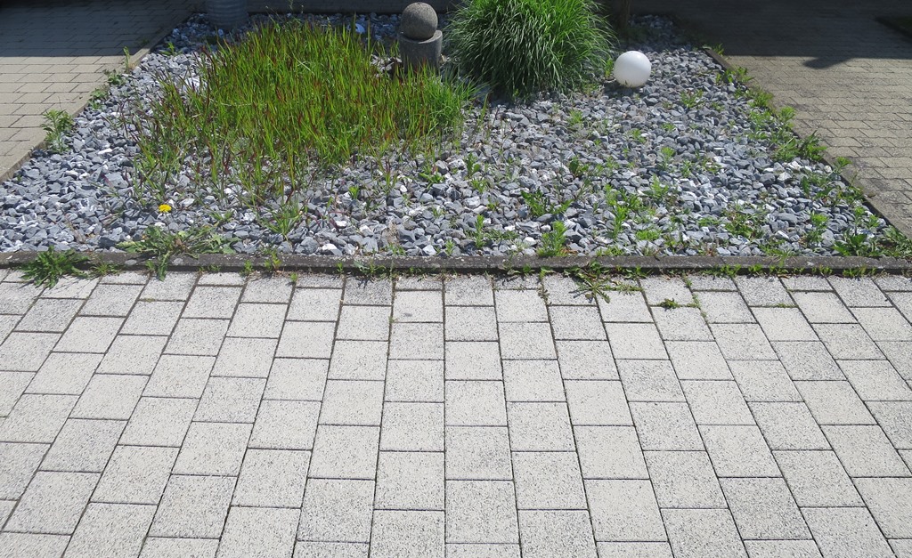 2019-06-17_3164_Schotterwahn_khu