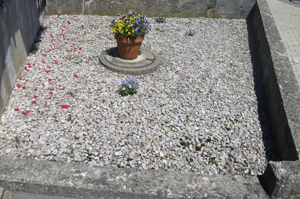 2019-06-12_2895_Schotterwahn_khu