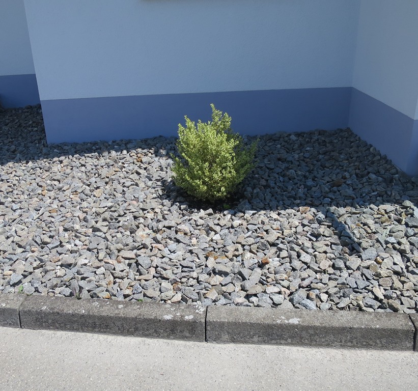 2019-06-19_3228_Schotterwahn_khu